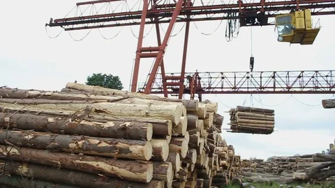 Sawmill. Crane. Logs Video stock 74579056