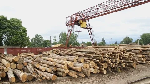 Sawmill. Crane. Logs Video stock 74579310
