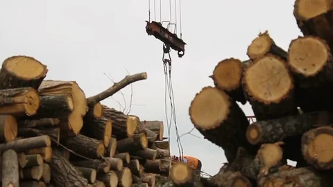 Sawmill. Crane. Logs Video stock 74579502