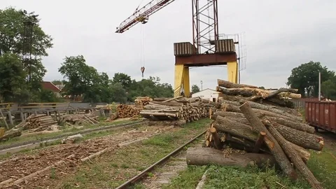 Sawmill. Crane. Logs Stock Footage 74579709