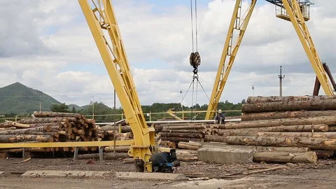 Sawmill. The crane lowers the logs Video stock 74430228