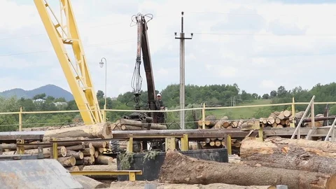 Sawmill. The crane raises logs Stock Footage 74430209