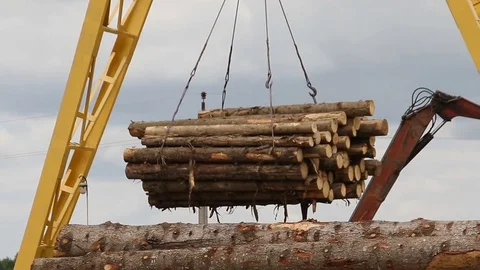 Sawmill. The crane raises logs Stock Footage 74430236