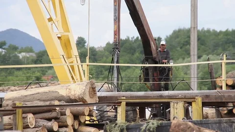 Sawmill. The crane raises logs Stock Footage 74430271