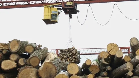 Sawmill. The crane raises logs Stock Footage 74579514