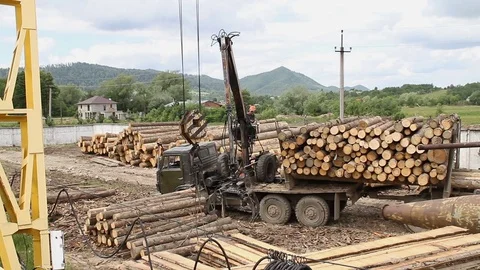 Sawmill. The crane takes logs Video stock 74430388