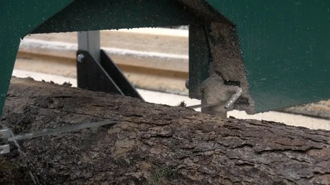 Sawmill Cutting a Tree Log Closeup in Slow Motion. Stock Footage 100199392