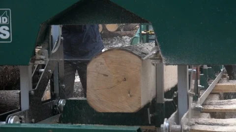 Sawmill Cutting a Tree Log in Slow Motion. Stock Footage 100199364