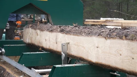 Sawmill Cutting a Tree Log in Slow Motion. Stock Footage 100199389