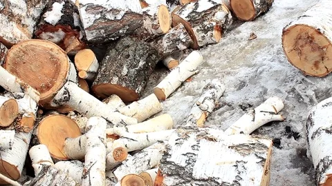 Sawmill with firewood Stock Footage 74076874