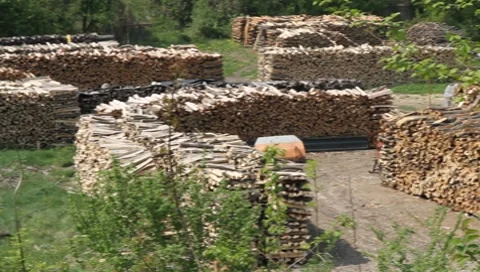 Sawmill Vídeos de archivo 8622713