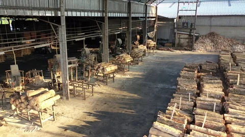 Sawmill full of logs Stock Footage 128032844