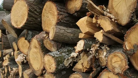 Sawmill. Logs. Close-up. Stock Footage 74579617