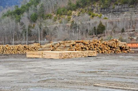 Sawmill Operation Foto stock