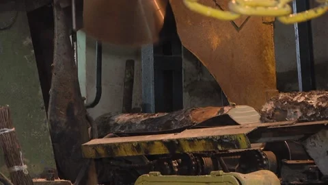 Sawmill. Process of machining logs in equipment sawmill Stock Footage 97535816