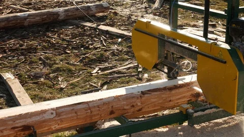 Sawmill. Process of machining logs Video stock 120057619