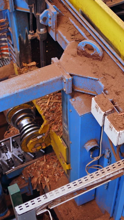 Sawmill. Process of machining logs in a machine different view closeup Stock Footage 296434284