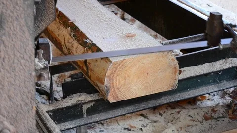 Sawmill. Process of machining logs in sawmill machine saws the tree trunk Stock Footage 79325928