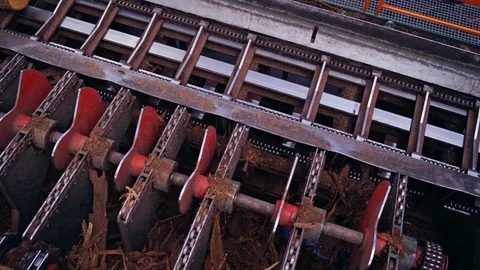 Sawmill. Process of removing bark from logs. Special machinery with conveyor Stock Footage 119152824