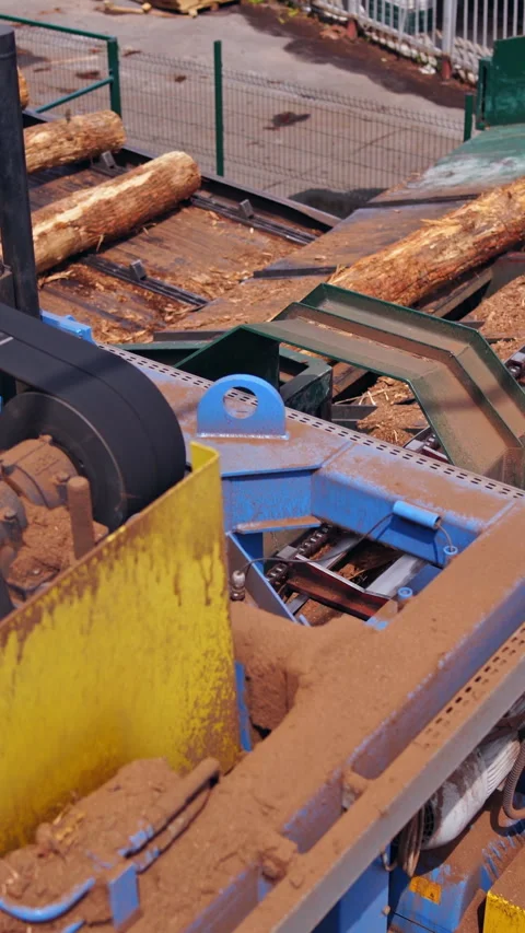 Sawmill. Process of removing bark from logs. Stock Footage 296434295