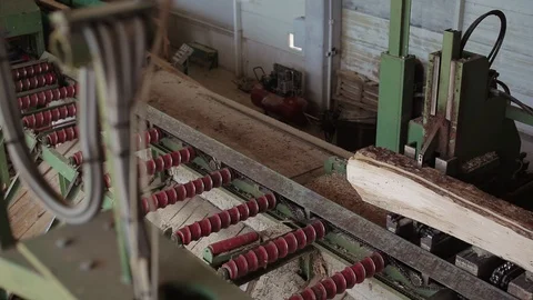 Sawmill - Process Of Wood Sawing - Process Of Furniture Production Stock Footage 90418676