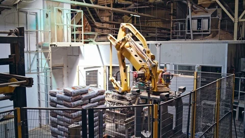 Sawmill processing on machines Stock Footage 119264492