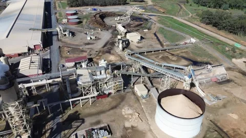 Sawmill processing wood chips Stock Footage 334906591