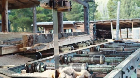 Sawmill Saw Видео 132086372