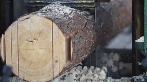 Sawmill slow motion 動画素材 23310274