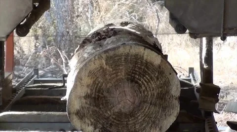 Sawmill Time Lapse Start to Finish Stock Footage 1182520