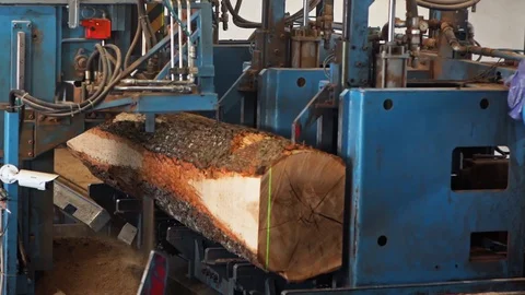 Sawmill Tree Trunk being cut Interior Details Slow motion Stockbeeldmateriaal 128491904