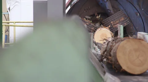 Sawmill - wood processing Video stock 34306898