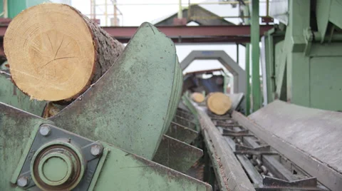 Sawmill - wood processing Video stock 34307125