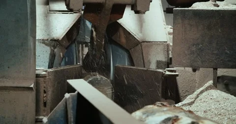 Sawmill on work cutting log tree. Timber factory processing hard wood Stock Footage 254097971