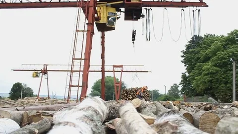 Sawmill. Worker pulls out logs Stock Footage 74579367