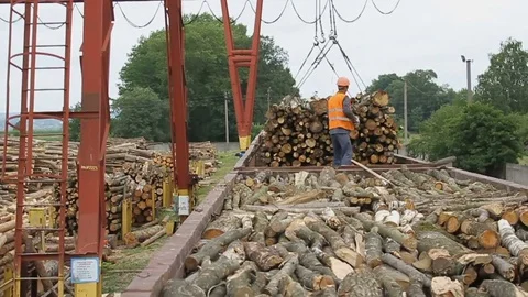 Sawmill. Worker pulls out logs Stock Footage 74579378
