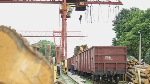 Sawmill. The worker is standing on the wagon. The crane is moving. Video stock 74579360