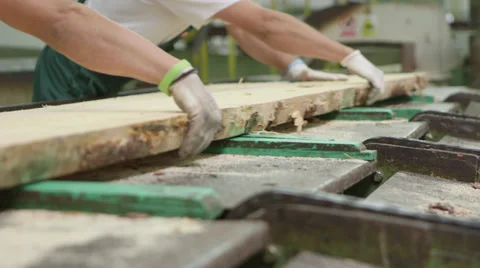 Sawmill - workers Video stock 34306720