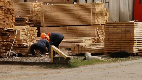 Sawmill. Workers lay the boards Stock Footage 74430066