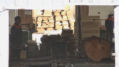 Sawmill. Workers in the shop Stockbeeldmateriaal 74430345