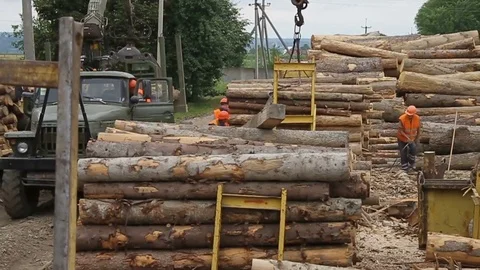 Sawmill. Workers stack logs. Truck. Video stock 74579347