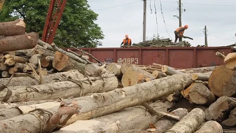 Sawmill. Workers on the wagon. Logs. Stock Footage 74579325