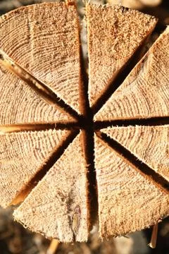 Sawn Log Background Stock Photos