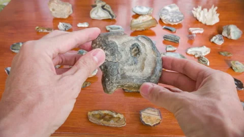 The sawn quartz stone in the hands of a man Video stock 119201340