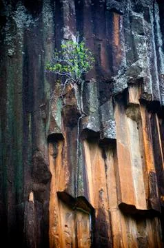 Sawn rocks 스톡 사진