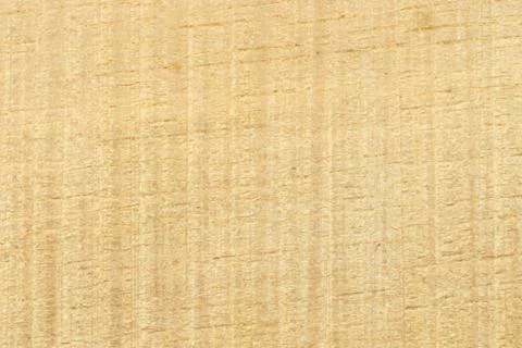Sawn timber surface texture Foto stock
