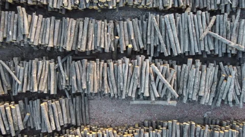 Sawn tree trunks at a sawmill top view. aerial photography from a quadrocopter Stock Footage 153874594