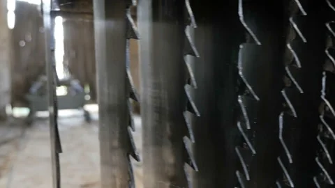 Saws, blades of sawmill machine for cutting, making wooden boards. Stock Footage 89901393