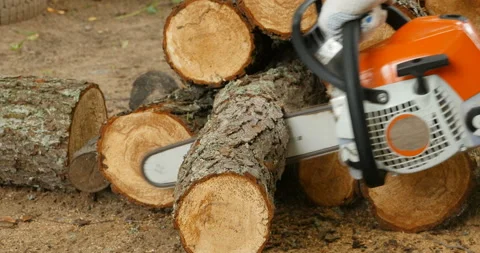 Saws wood chainsaw Stock Footage 106400366
