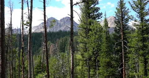 Sawtooth Mountains, Idaho Stock Footage 341316568
